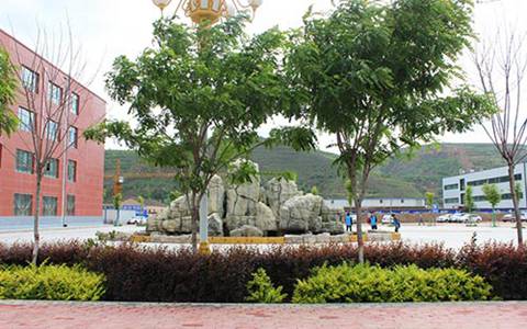 邛崃职业高级中学旅游服务与管理专业